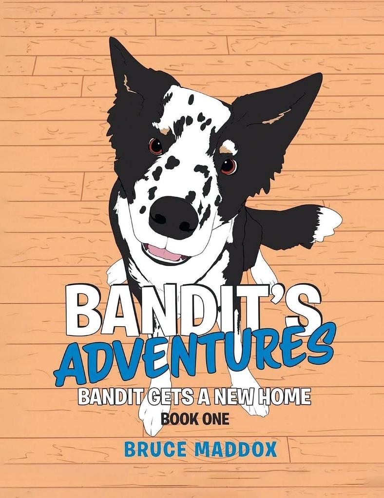 Bandit's Adventures