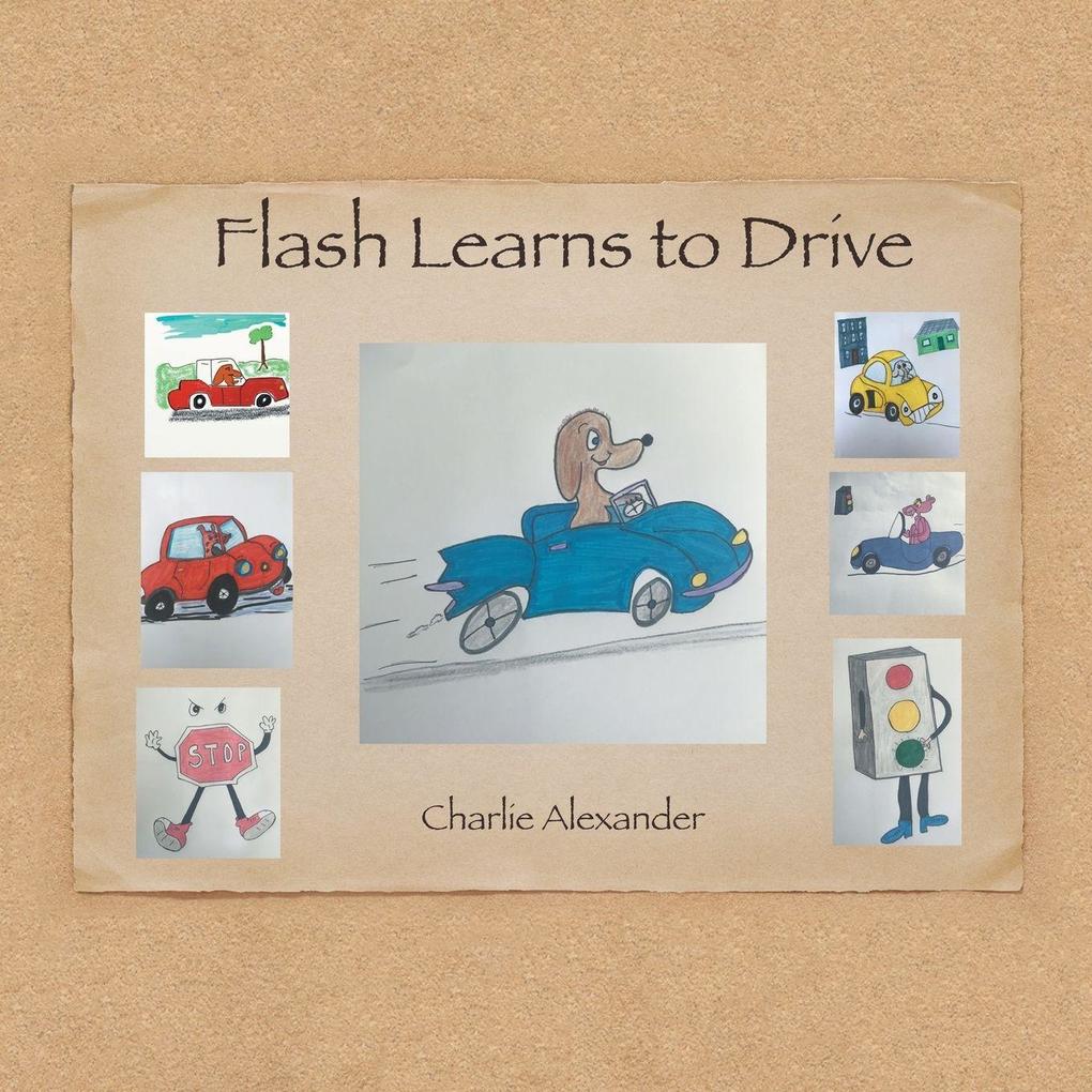 Flash Learns to Drive