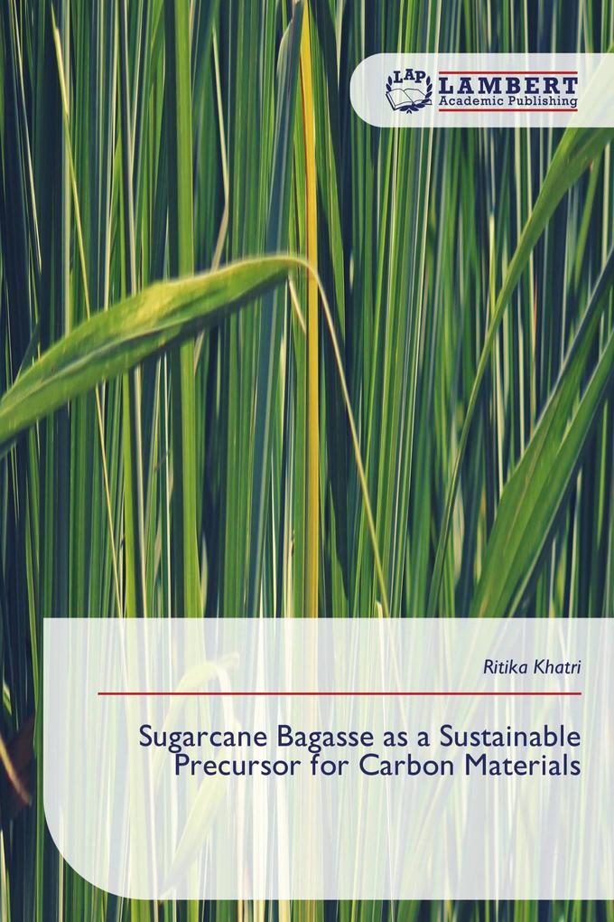Sugarcane Bagasse as a Sustainable Precursor for Carbon Materials