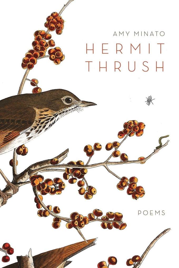 Hermit Thrush