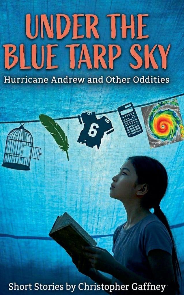 Under A Blue Tarp Sky