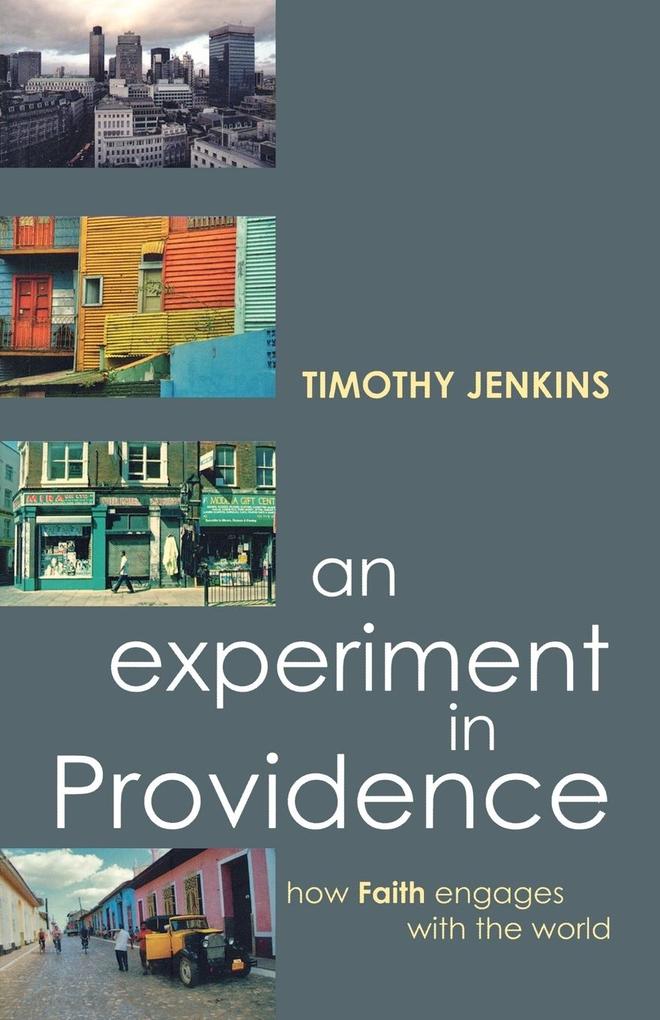 An Experiment in Providence - Timothy Jenkins