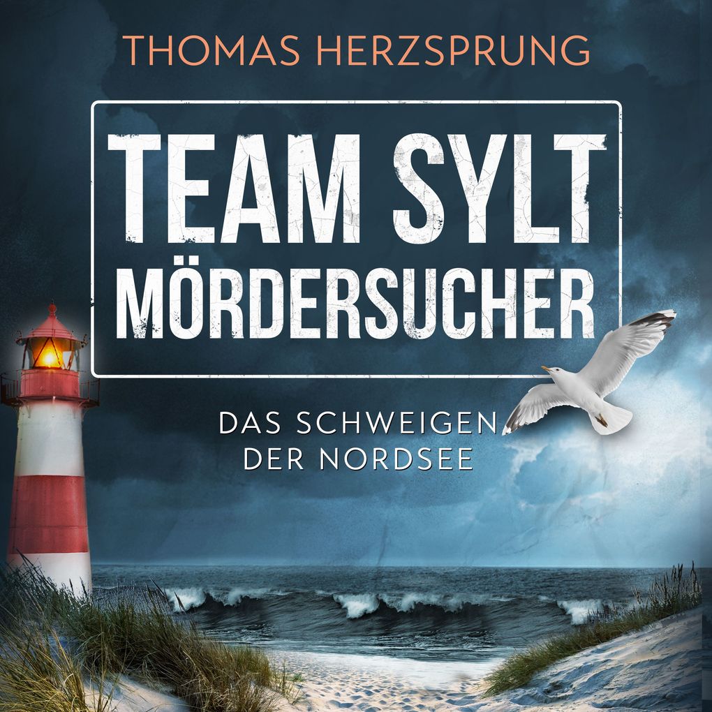 TEAM SYLT MÖRDERSUCHER: Das Schweigen der Nordsee Nordseekrimi Küstenkrimi (SYLT KRIMI - Fischer & Kalkhoff ermitteln)
