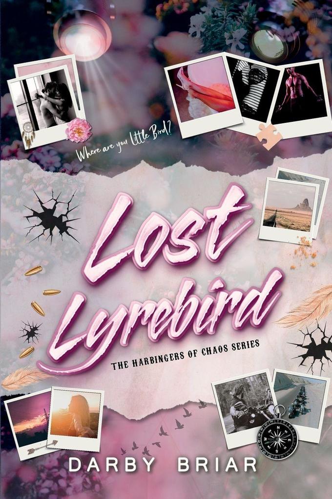 Lost Lyrebird