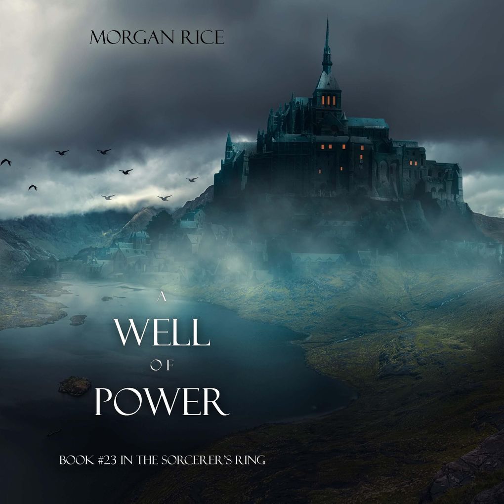 A Well of Power (The Sorcerer's RingBook #23)