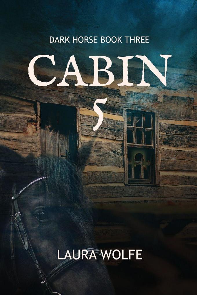 Cabin 5