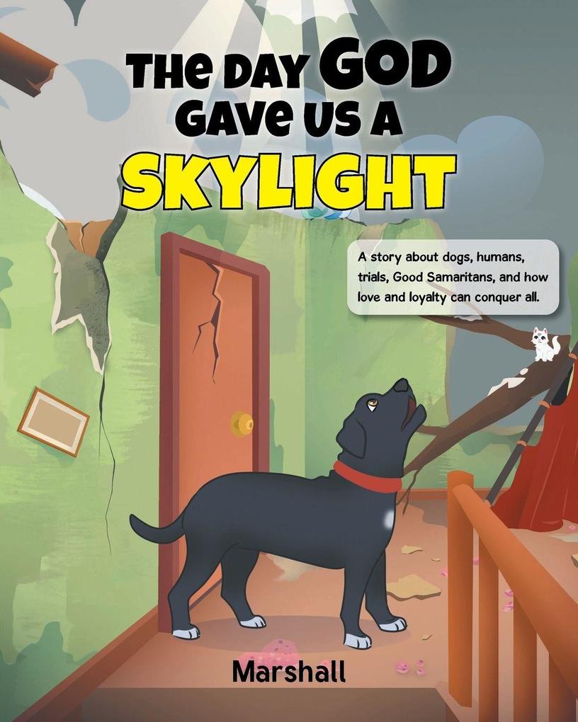 The Day God Gave Us A Skylight