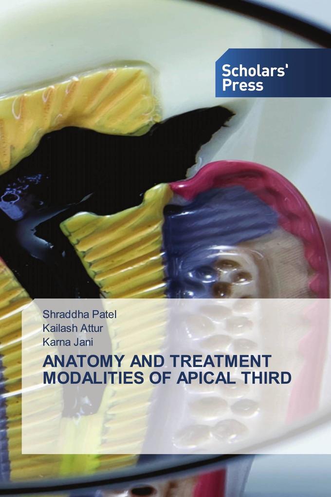 ANATOMY AND TREATMENT MODALITIES OF APICAL THIRD