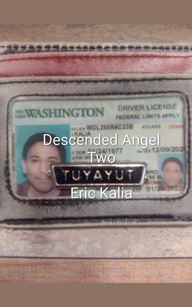 Descended Angel Book Two