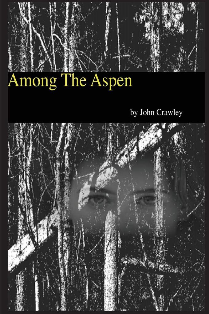Among The Aspen