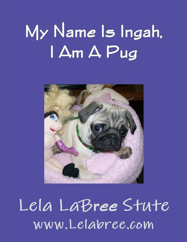My Name Is Ingah I Am A Pug