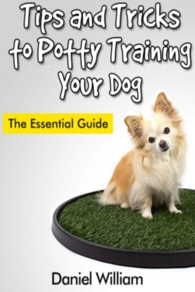 Tips and Tricks to Potty Training Your Dog