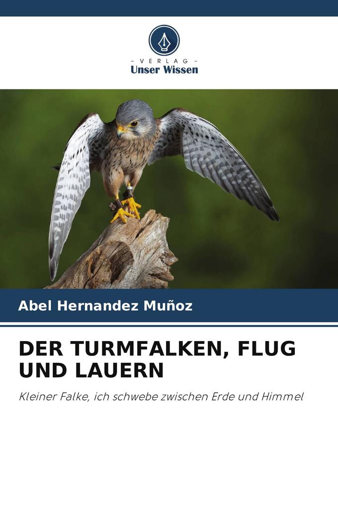 DER TURMFALKEN FLUG UND LAUERN