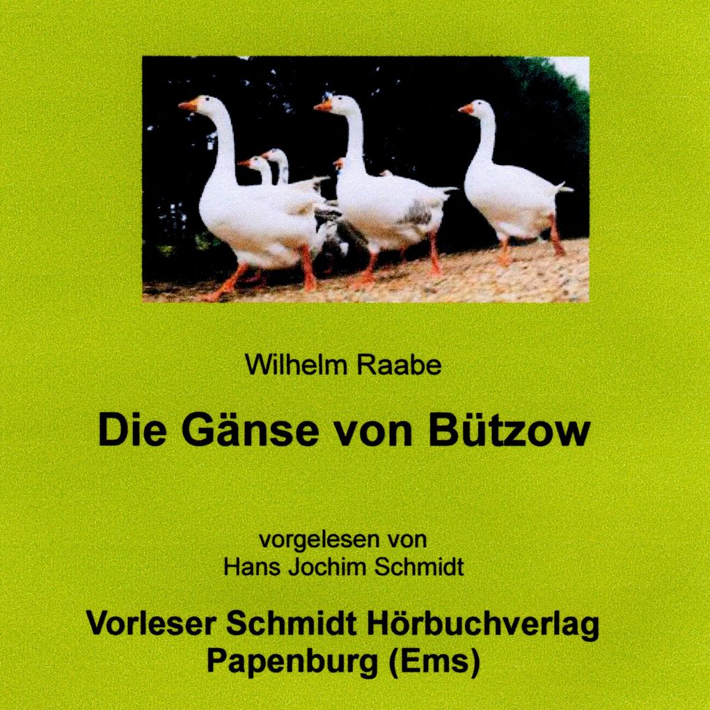Die Gänse von Bützow