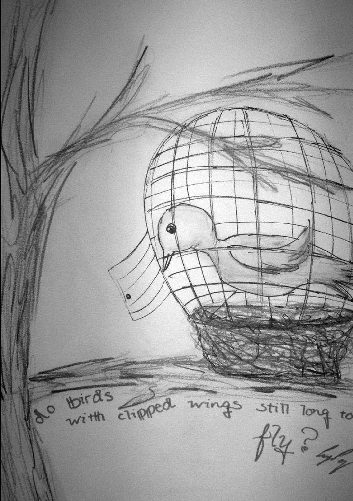 Do Birds With Clipped Wings Still Long To Fly?