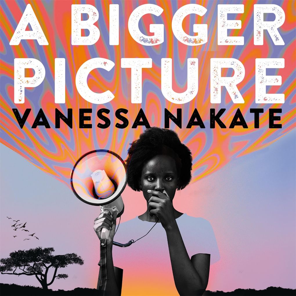 A Bigger Picture