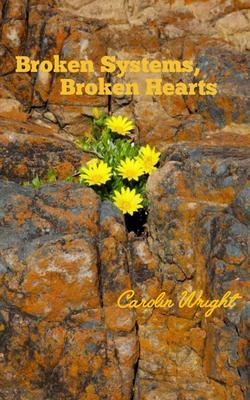 Broken Systems Broken Hearts