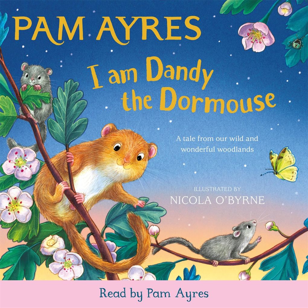 I am Dandy the Dormouse