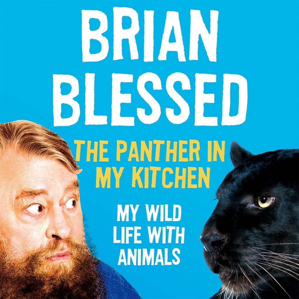 The Panther In My Kitchen