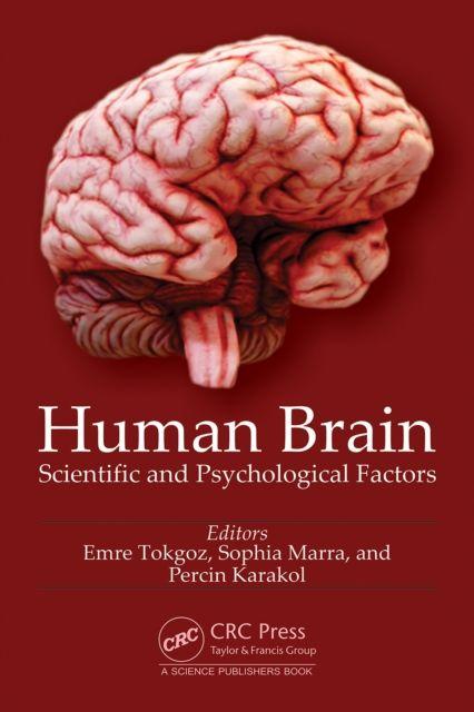 Human Brain