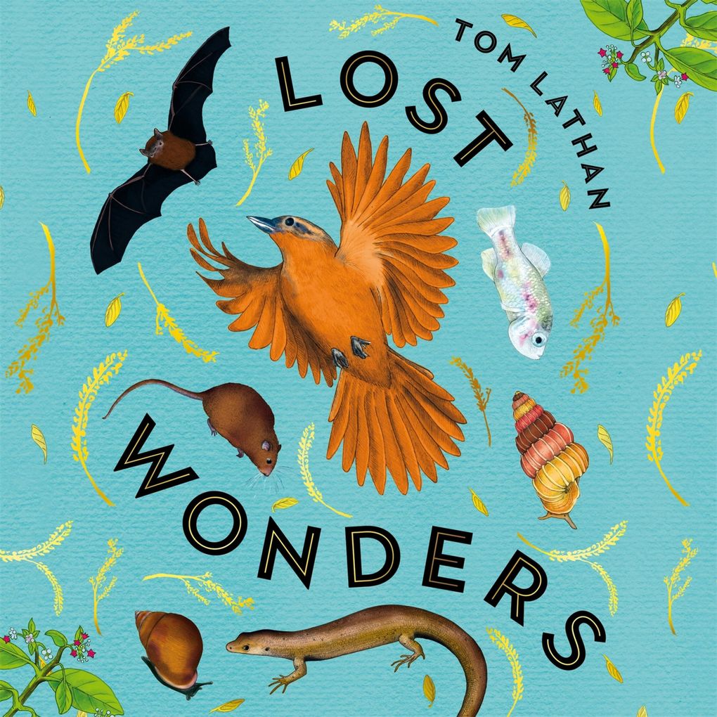 Lost Wonders