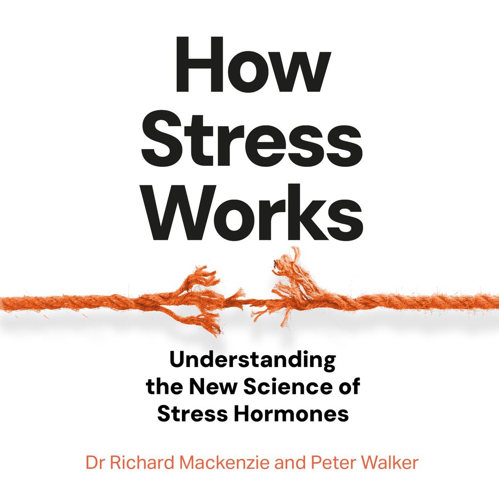 How Stress Works