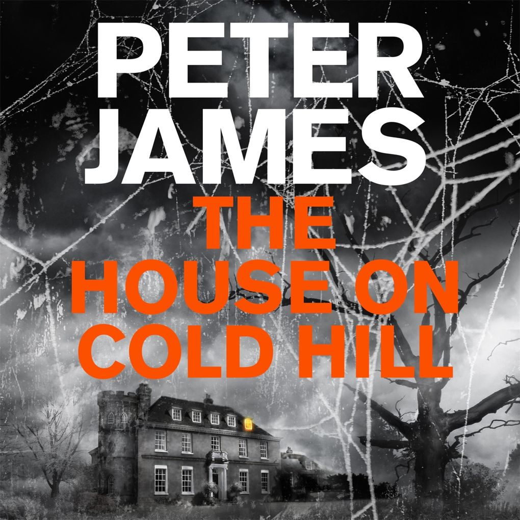 The House on Cold Hill