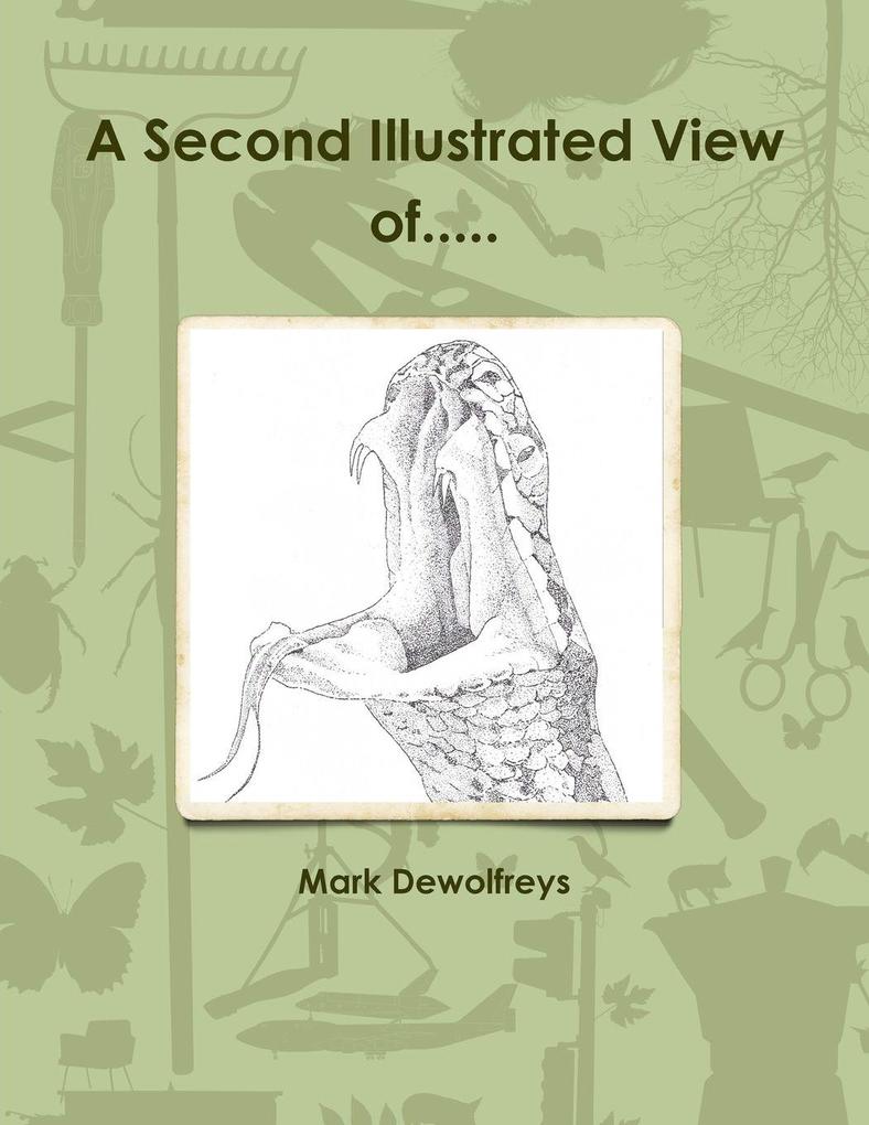 A Second Illustrated View of.....