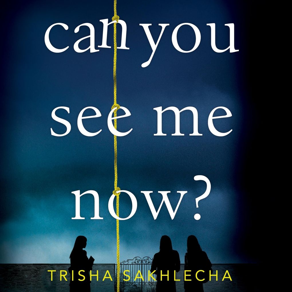 Can You See Me Now?