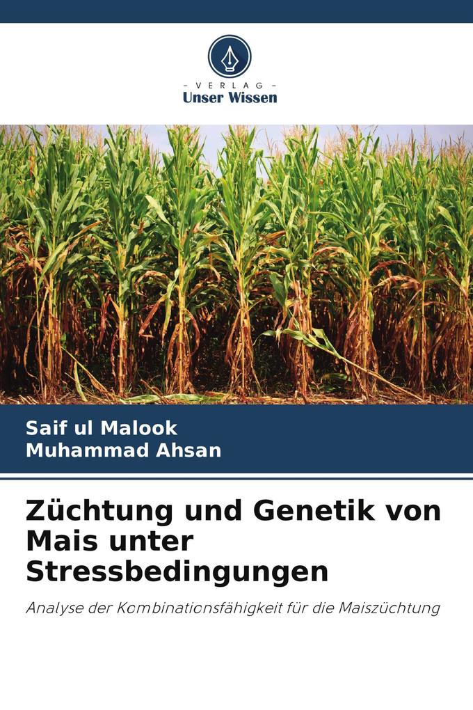 Züchtung und Genetik von Mais unter Stressbedingungen