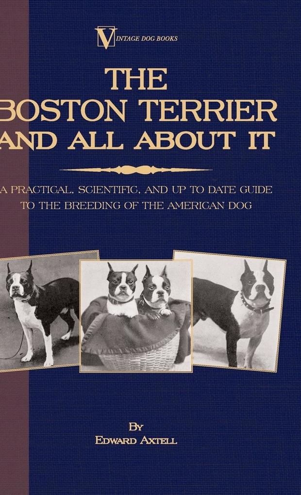 The Boston Terrier And All About It - A Practical Scientific And Up To Date Guide To The Breeding Of The American Dog (A Vintage Dog Books Breed Classic)