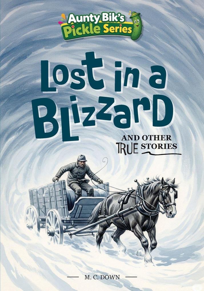 Lost in a Blizzard and other true stories