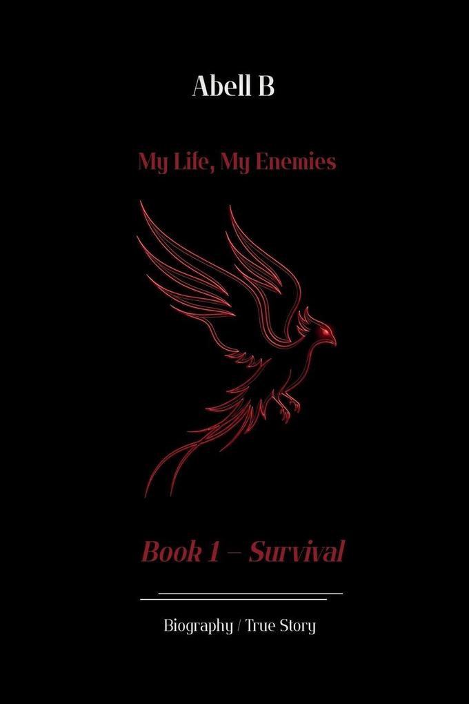 My Life My Enemies
