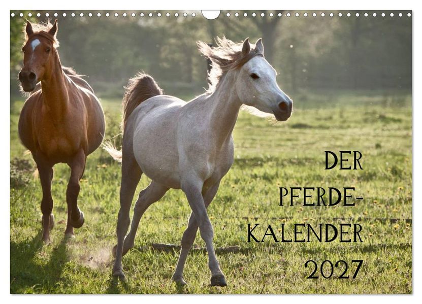 Pferdekalender (Wandkalender 2027 DIN A3 quer) CALVENDO Monatskalender