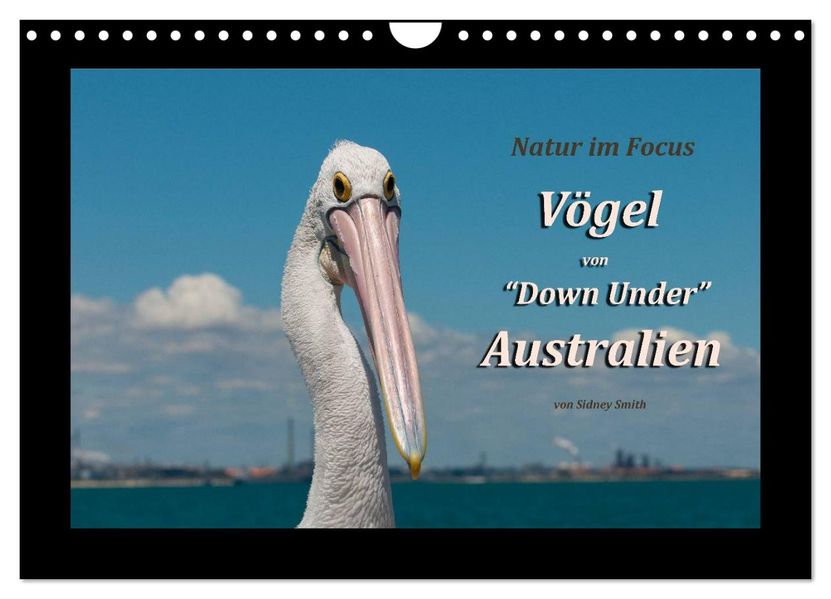 Vögel von 'Down Under' Australien (Wandkalender 2027 DIN A4 quer) CALVENDO Monatskalender