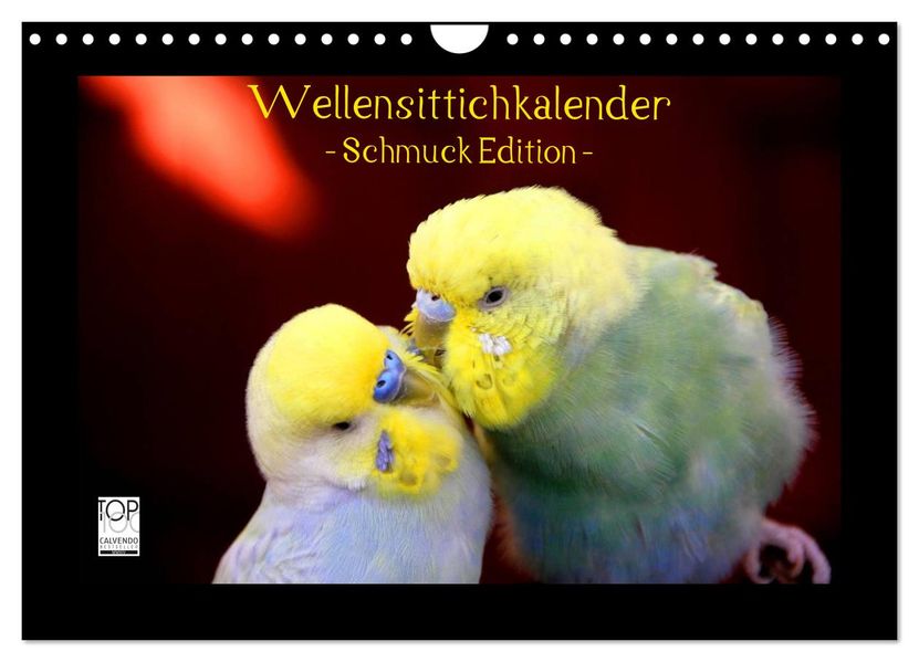 Wellensittichkalender - Schmuck Edition (Wandkalender 2027 DIN A4 quer) CALVENDO Monatskalender