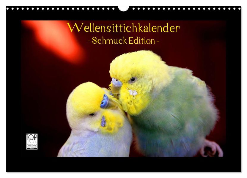 Wellensittichkalender - Schmuck Edition (Wandkalender 2027 DIN A3 quer) CALVENDO Monatskalender