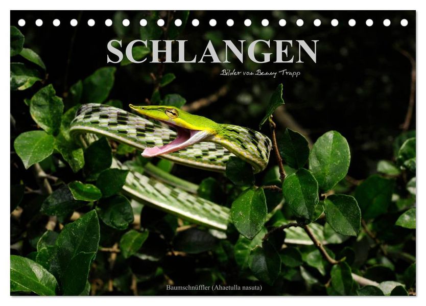 Schlangen (Tischkalender 2027 DIN A5 quer) CALVENDO Monatskalender