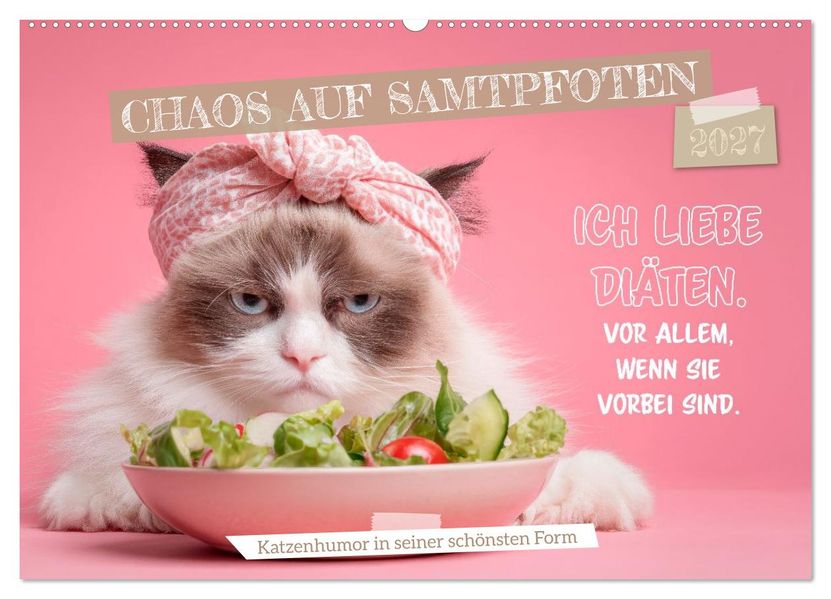 Chaos auf Samtpfoten (Wandkalender 2027 DIN A2 quer) CALVENDO Monatskalender