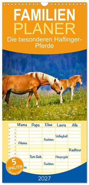 Familienplaner 2027 - Die besonderen Haflinger-Pferde mit 5 Spalten (Wandkalender 21 x 45 cm) CALVENDO