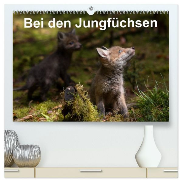 Bei den Jungfüchsen (hochwertiger Premium Wandkalender 2027 DIN A2 quer) Kunstdruck in Hochglanz
