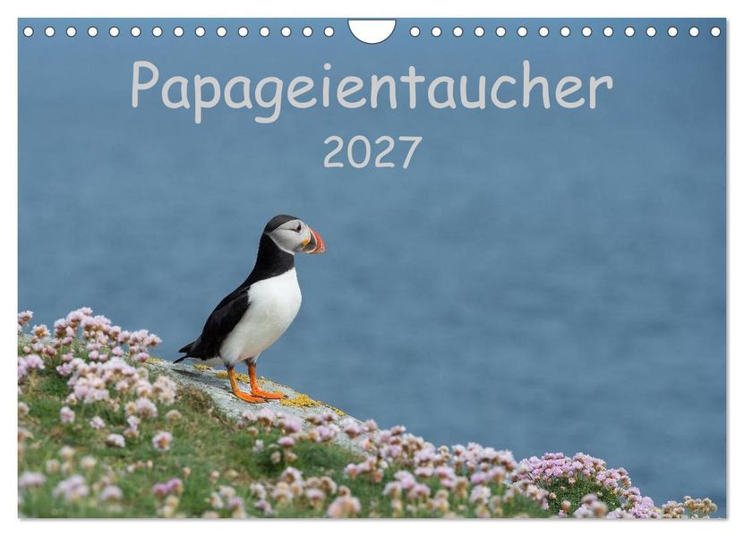 Papageientaucher 2027 (Wandkalender 2027 DIN A4 quer) CALVENDO Monatskalender