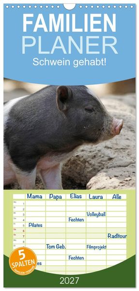 Familienplaner 2027 - Schwein gehabt! mit 5 Spalten (Wandkalender 21 x 45 cm) CALVENDO