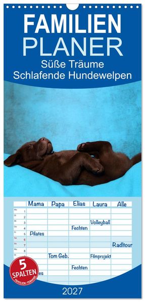 Familienplaner 2027 - Süße Träume 2027 - schlafende Hundewelpen mit 5 Spalten (Wandkalender 21 x 45 cm) CALVENDO
