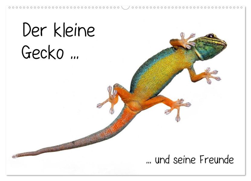 Der kleine Gecko und seine Freunde (Wandkalender 2027 DIN A2 quer) CALVENDO Monatskalender