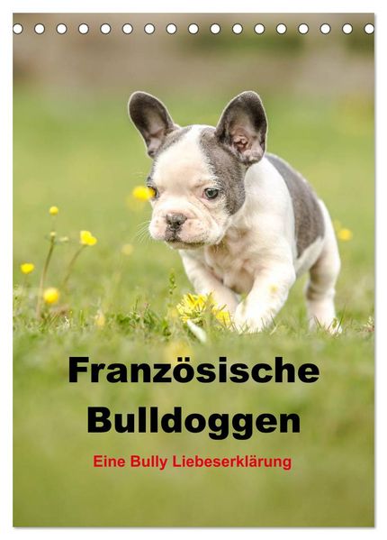 Französische Bulldoggen - Eine Bully Liebeserkärung (Tischkalender 2027 DIN A5 hoch) CALVENDO Monatskalender