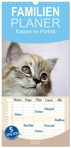 Familienplaner 2027 - Katzen im Porträt / Geburtstagskalender mit 5 Spalten (Wandkalender 21 x 45 cm) CALVENDO