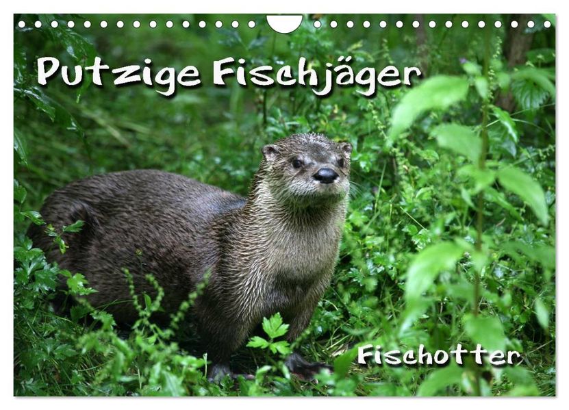 Putzige Fischjäger (Wandkalender 2027 DIN A4 quer) CALVENDO Monatskalender