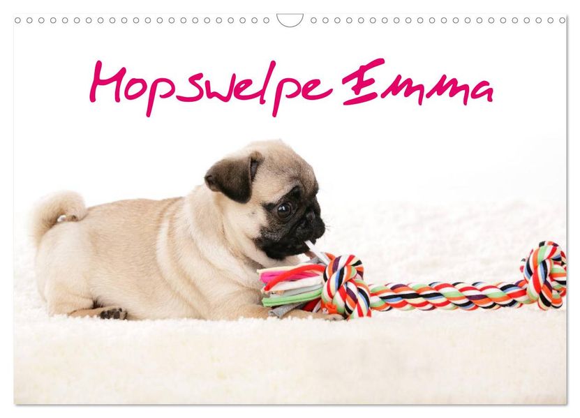 Mopswelpe Emma (Wandkalender 2027 DIN A3 quer) CALVENDO Monatskalender