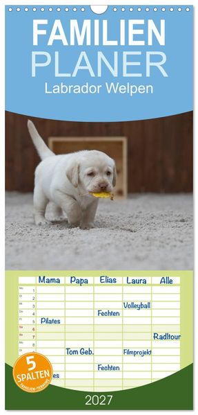 Familienplaner 2027 - Labrador Welpen mit 5 Spalten (Wandkalender 21 x 45 cm) CALVENDO